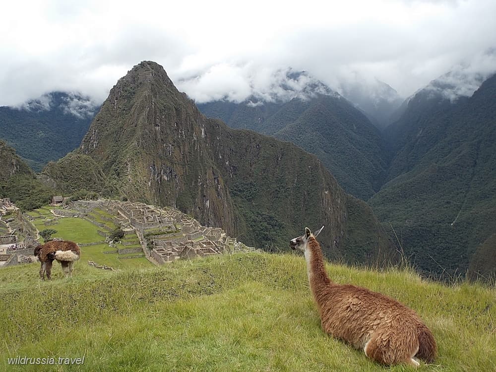 Что Делает Наши Пешие Походы по Перу Особенными?